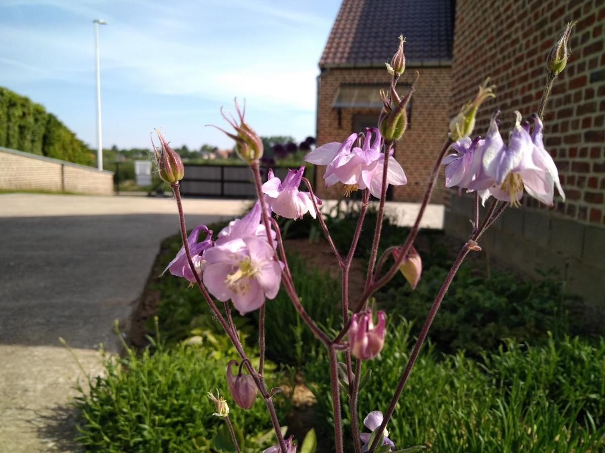 Vakantiewoning Mierzicht Met Prive Wellness Haspengouw Boekhout Exterior photo